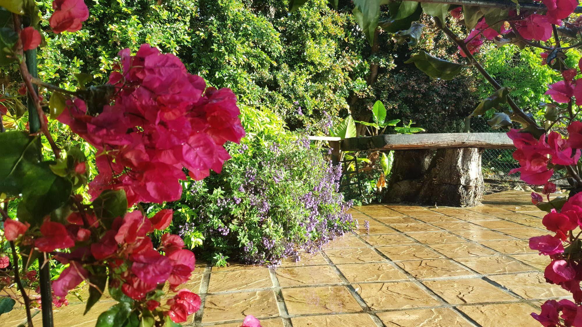 קונסטנטיה Riverside Cottages מראה חיצוני תמונה