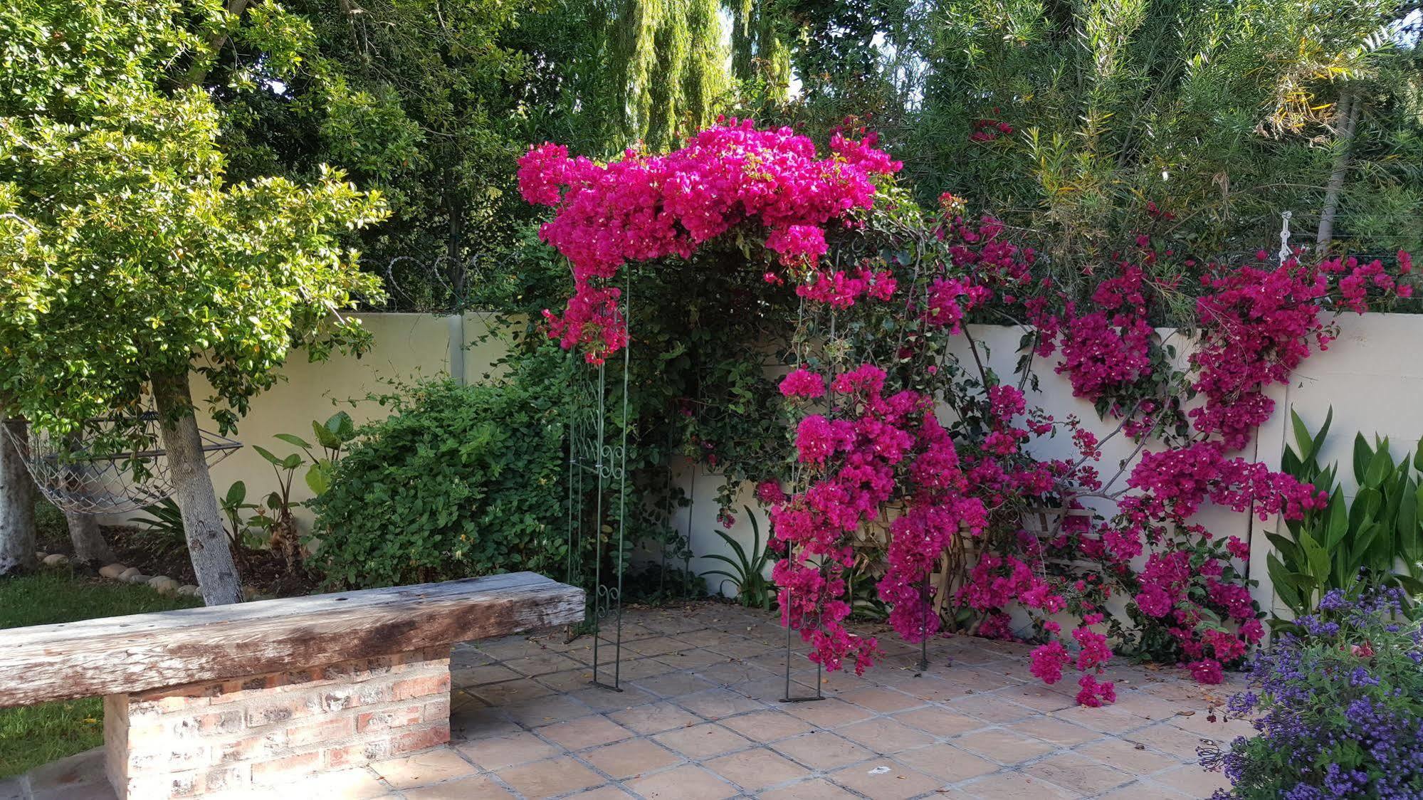 קונסטנטיה Riverside Cottages מראה חיצוני תמונה